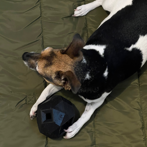 The Weekender dog mat